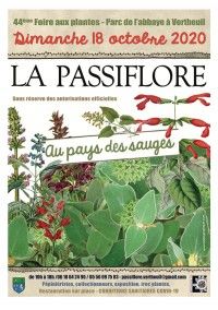 Foire aux Plantes 2020