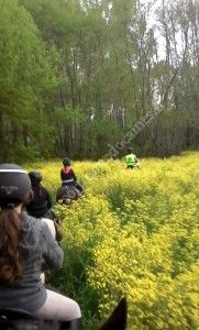Balade Apér'eau à cheval