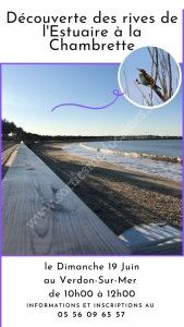 Découverte des rives de l'Estuaire à la Chambrette
