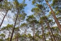 OT Médoc Atlantique