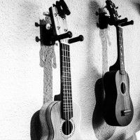 Concert de chansons Ukulélantes